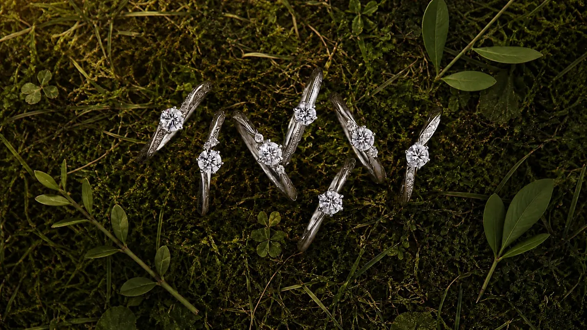 苔の上に並べたBAUMの婚約指輪